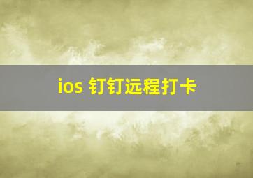 ios 钉钉远程打卡